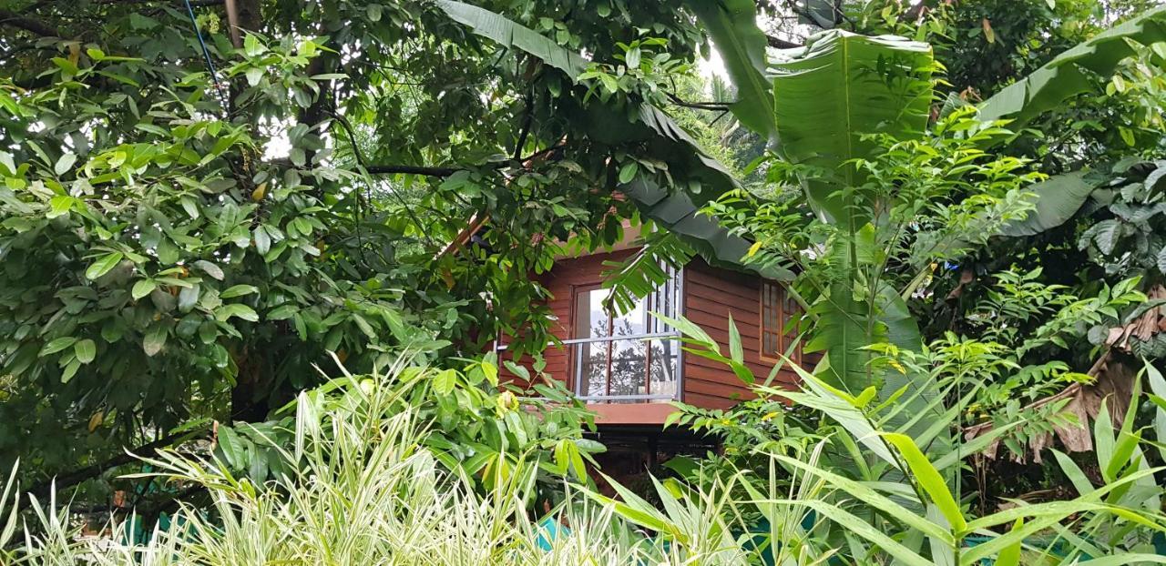 Wayanad Doubletree Villa Витири Екстериор снимка