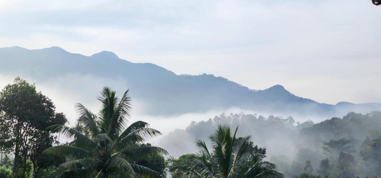 Wayanad Doubletree Villa Витири Екстериор снимка